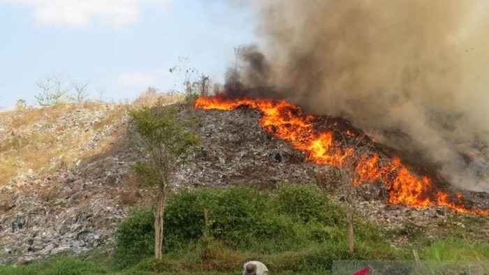 Kebakaran Hebat Landa TPA Pakusari Jember, Dipicu Puntung Rokok yang Belum Mati