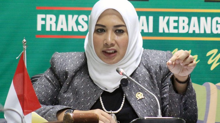 Waka Komisi IX DPR Usul AI Bantu Analisis Penyakit Pasien Wilayah Minim Dokter