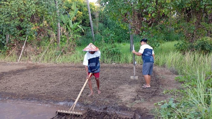 Dorong Sinergi Pelestarian dan Pertumbuhan, Dampingi Desa Les Raih Predikat Juara Wisata Nasional