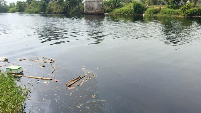 Pemprov Banten Investigasi Dugaan Pencemaran di Sungai Ciujung Serang