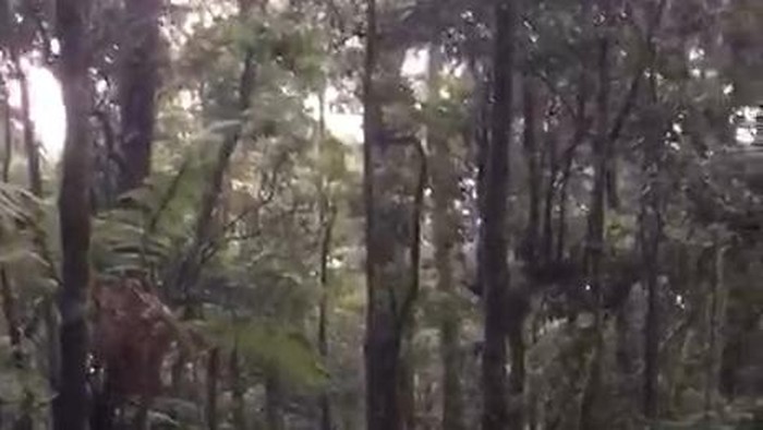 Gunung Gede Berubah Jadi Medan Operasi Penyelamatan, Evakuasi Dramatis Pendaki 145 Kg yang Alami Keram