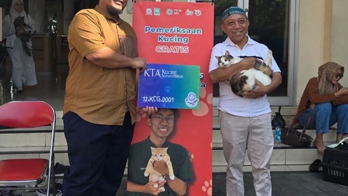 Messi, Kucing Jogja Berusia 15 Tahun, Jadi Hewan Pertama yang Resmi Kantongi Kartu Anggota Muhammadiyah