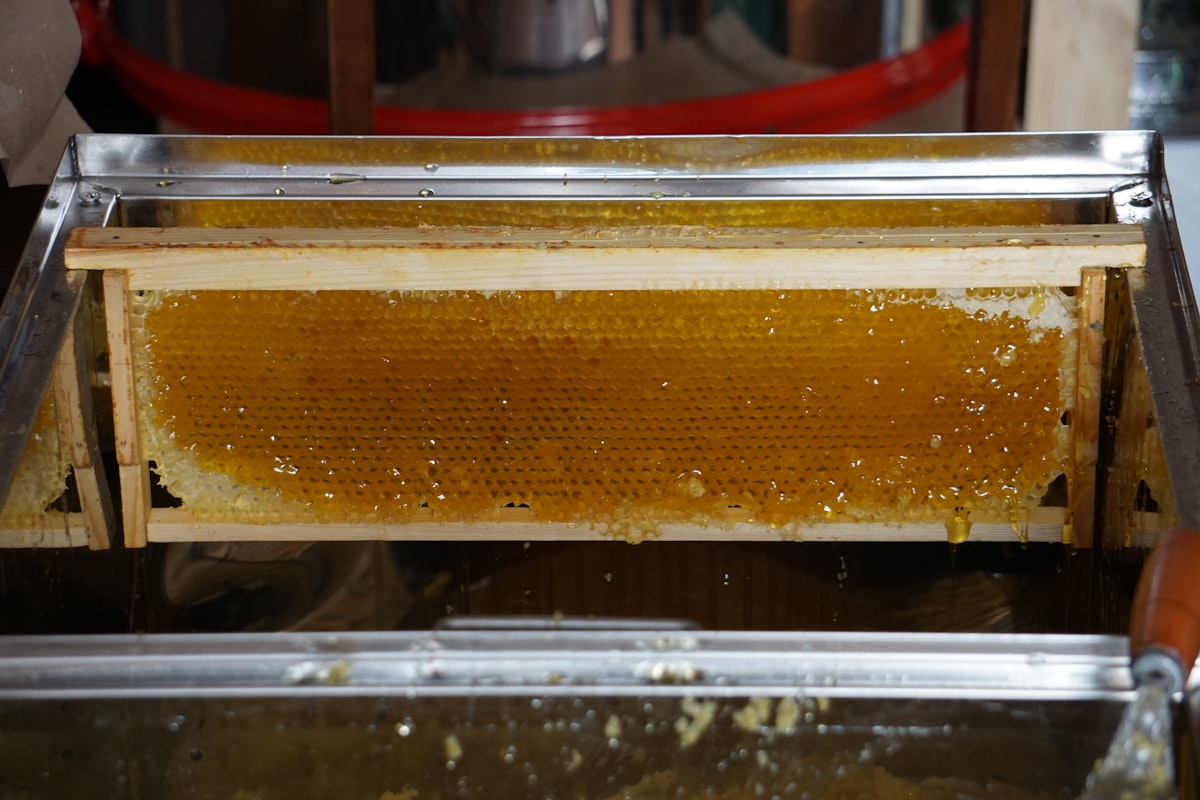 Mengungkap Rahasia Cita Rasa Kopi: Panduan Lengkap Metode Pengolahan Natural, Washed, dan Honey Proc