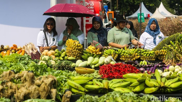Jakarta Pamerkan Potensi Pertanian Kota Lewat Panen Raya 1.000 Meter