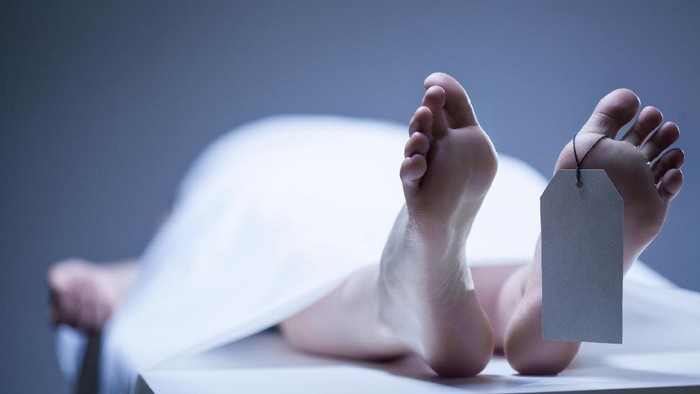 Wanita Muda di Bogor Ditemukan Tewas Tergantung di Pohon, Diduga Bunuh Diri