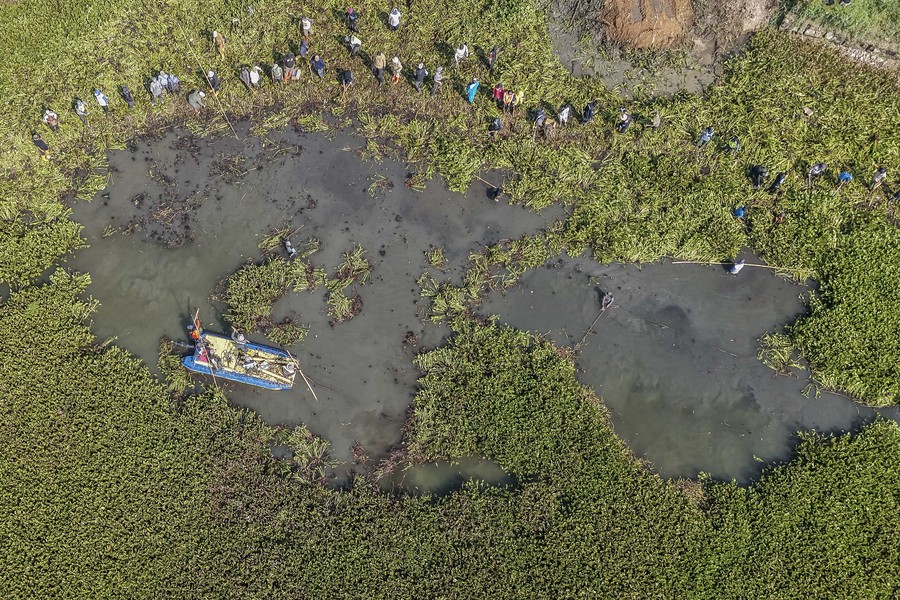 Aksi Bersih Eceng Gondok Jaga Kelestarian Sungai Citarum