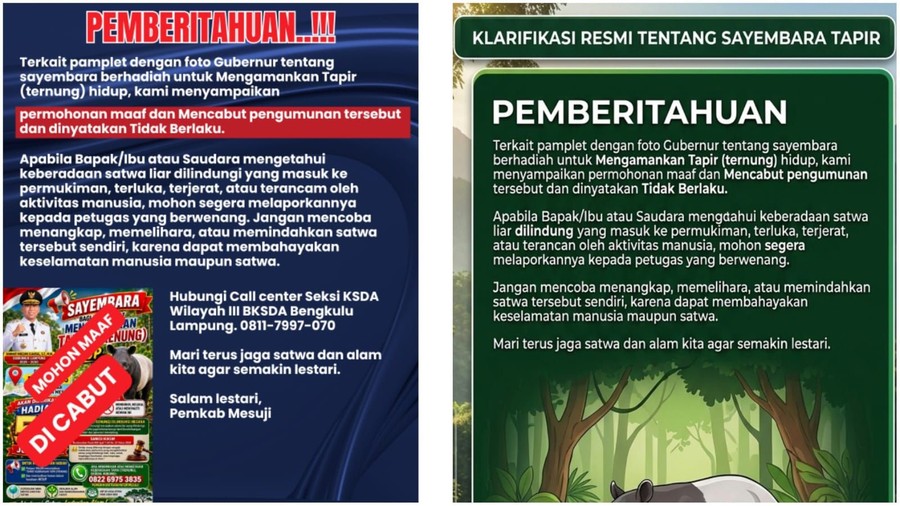 Beritaseputar.com – Sayembara Tangkap Tapir Hidup-hidup di Mesuji Berhadiah Rp 50 Juta Resmi Dibatalkan