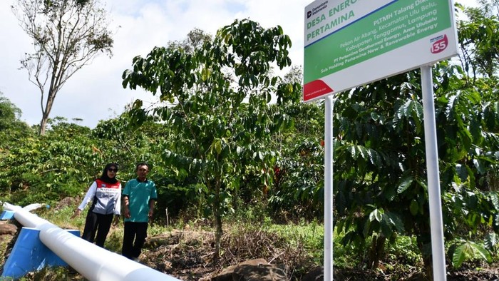 Pertamina Genjot Kemandirian Energi-Ketahanan Pangan Lewat Program DEB