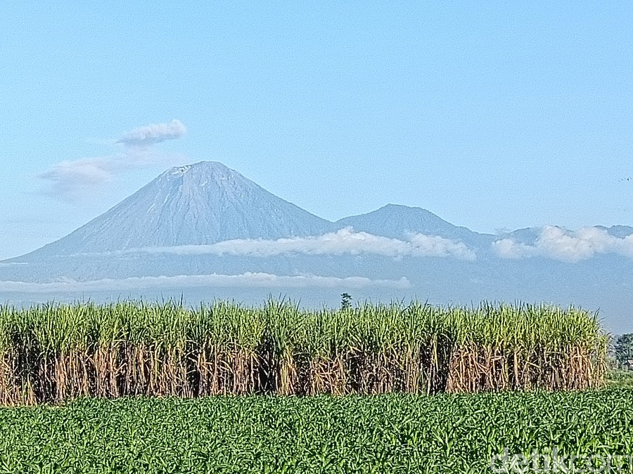 Gunung Semeru Kembali Erupsi, Tiga Kali Letusan Pagi Ini dengan Tinggi Abu Hingga 900 Meter
