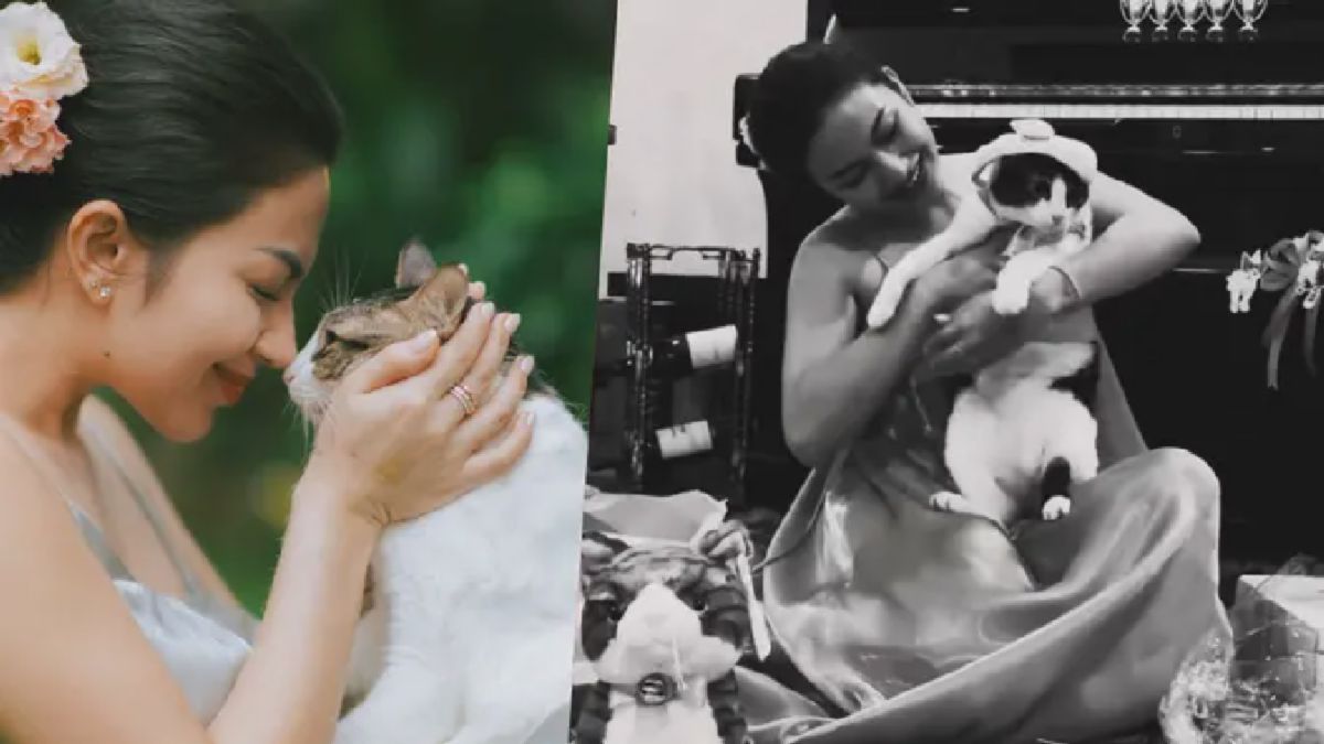 Ariel Tatum Rayakan Ulang Tahun Kelima Kucing Kesayangannya