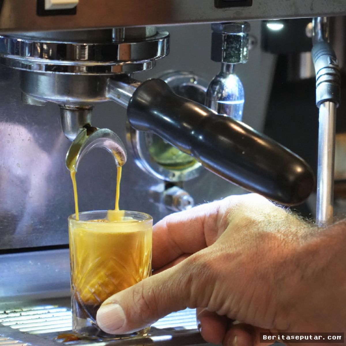 Australia Makin Serius Kembangkan Biji Kopi Sendiri