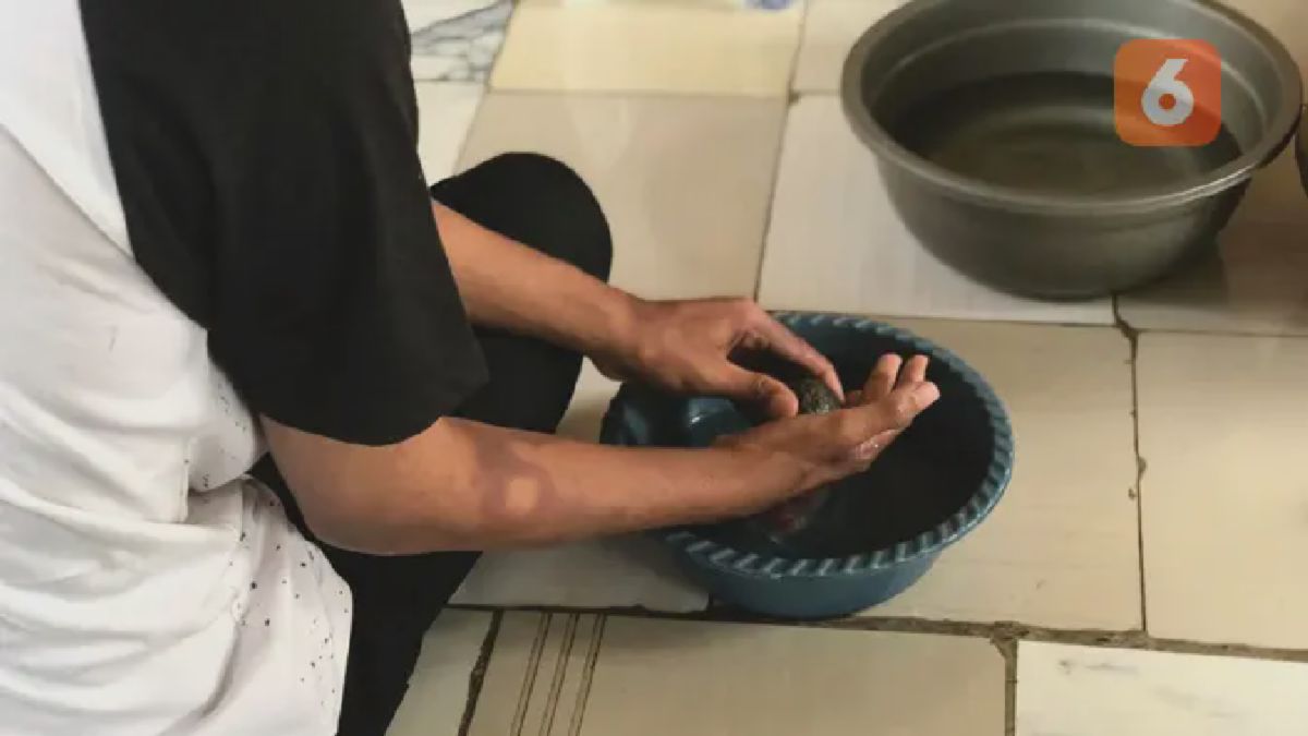 Menkes Budi: Deteksi Kusta Dini dan Waspada Ancaman Ebola