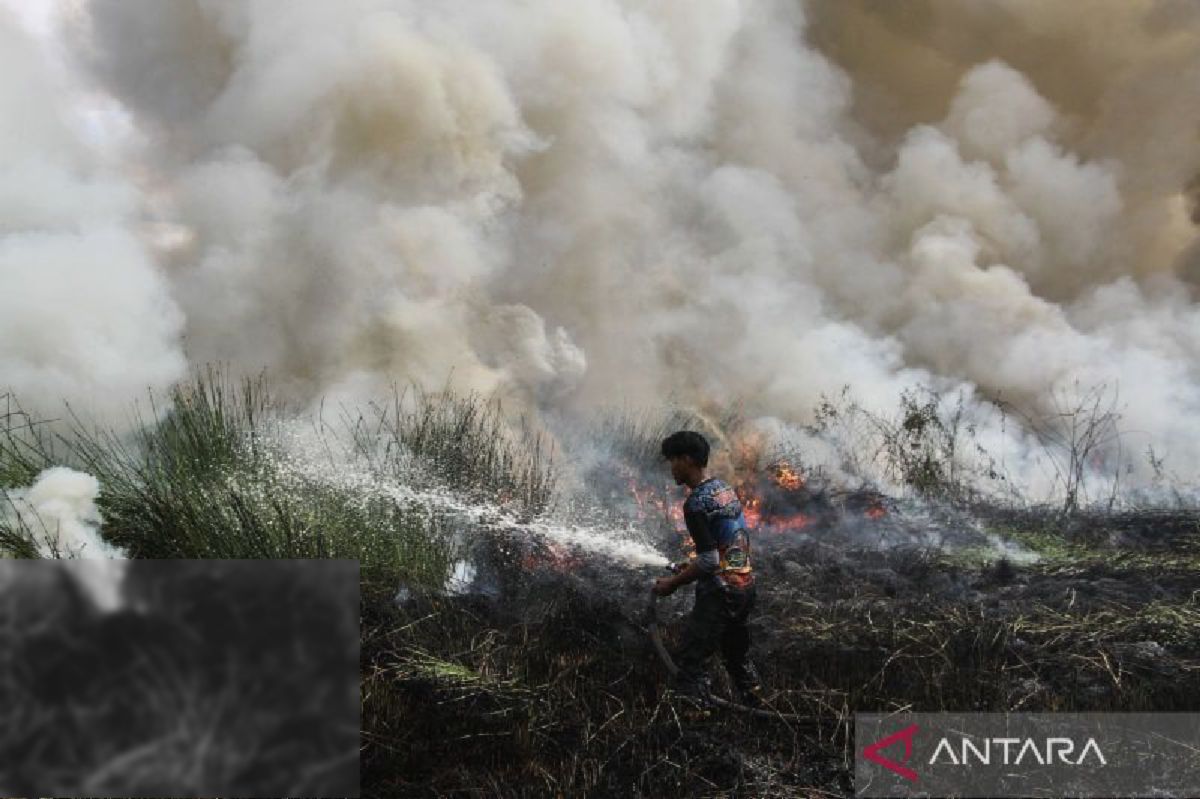 Palangka Raya Tetapkan Status Darurat Kebakaran Hutan