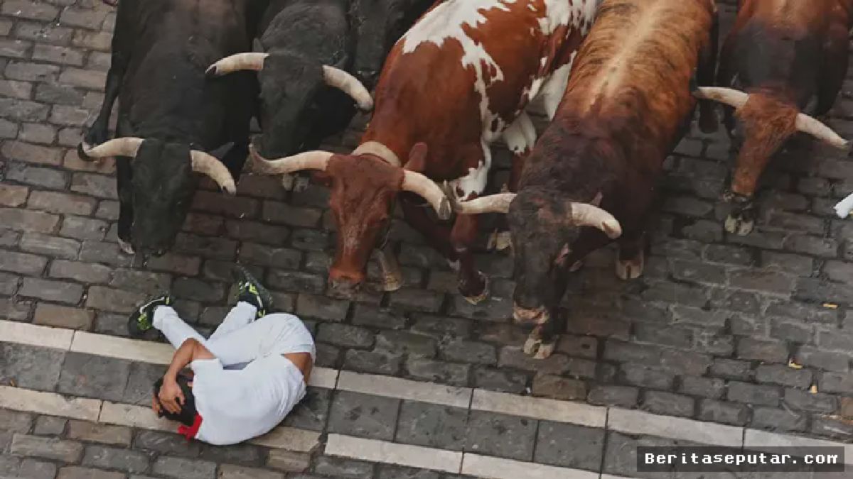Pamplona — Detik Mencekam: Peserta Jatuh di Depan Banteng San Fermin