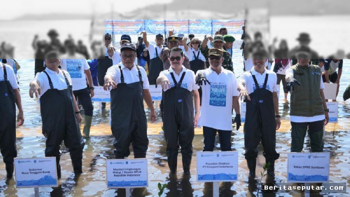 Tangan-Tangan yang Menanam Harapan di Pesisir Sumbawa
